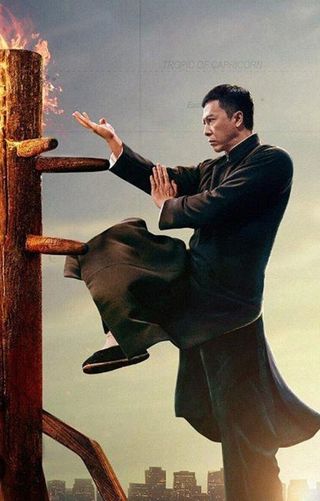 Clases particulares de kung fu .