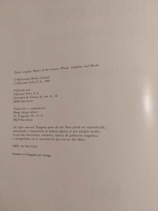 BALLENAS, DELFINES, TIBURONES