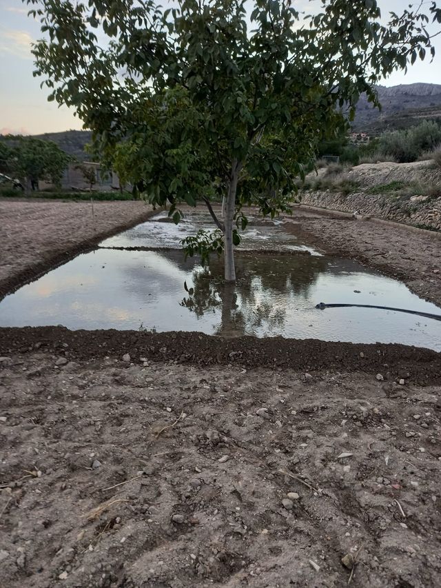 Terreno con casa en Jijona
