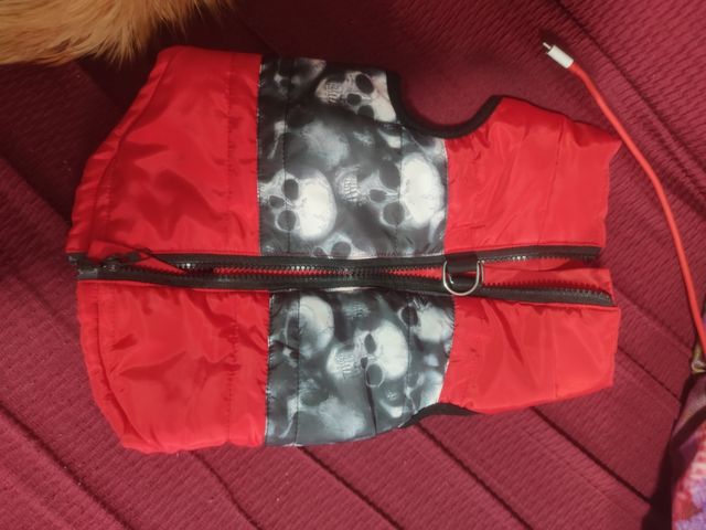 Abrigo perro calaveras