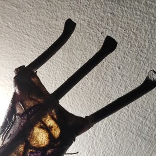 Lampada del Marocco vintage anni 70.