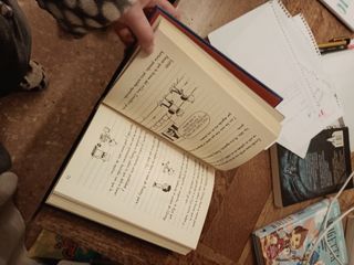 Libro:DIARIO DE GREG 2