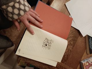 Libro:DIARIO DE GREG 2