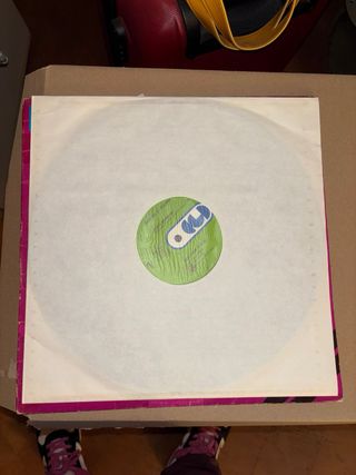 VINILE IN OTTIME CONDIZIONI 33 GIRI:HEATHER PARISI