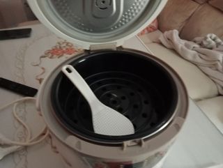 Holla eléctrica moulinex