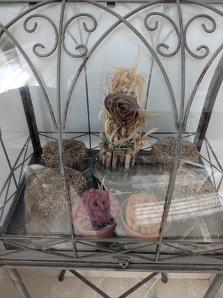 Invernadero decoración