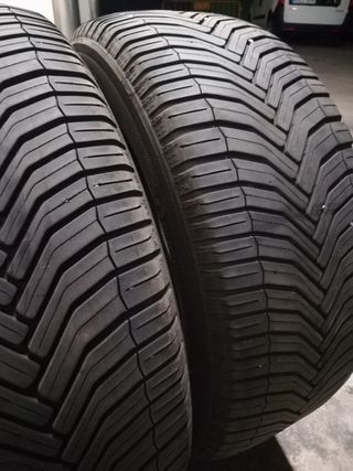 225/60/18-104V ,100H Parejas Bridgestone, Michelin