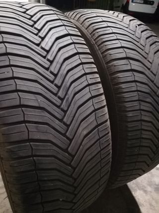 225/60/18-104V ,100H Parejas Bridgestone, Michelin