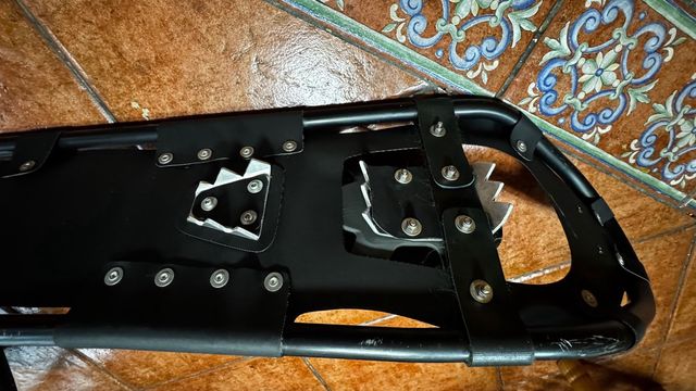 Raquetas nieve profesionales