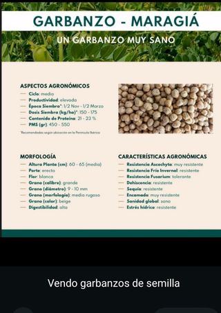 Garbanzos