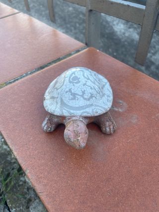 Tartaruga 
