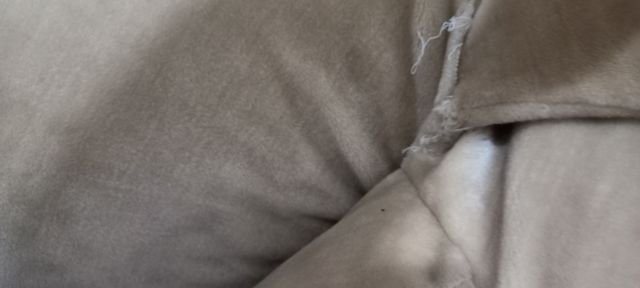 Peluche gigante 80cm