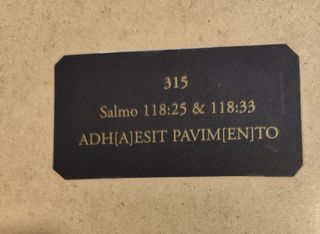 Quadri 