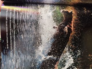 Revista National Geographic july 1992
