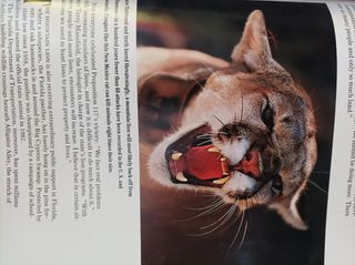 Revista National Geographic july 1992