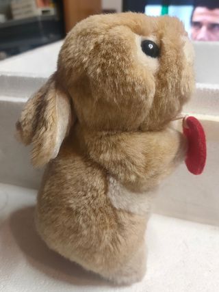 Peluche trudi 
