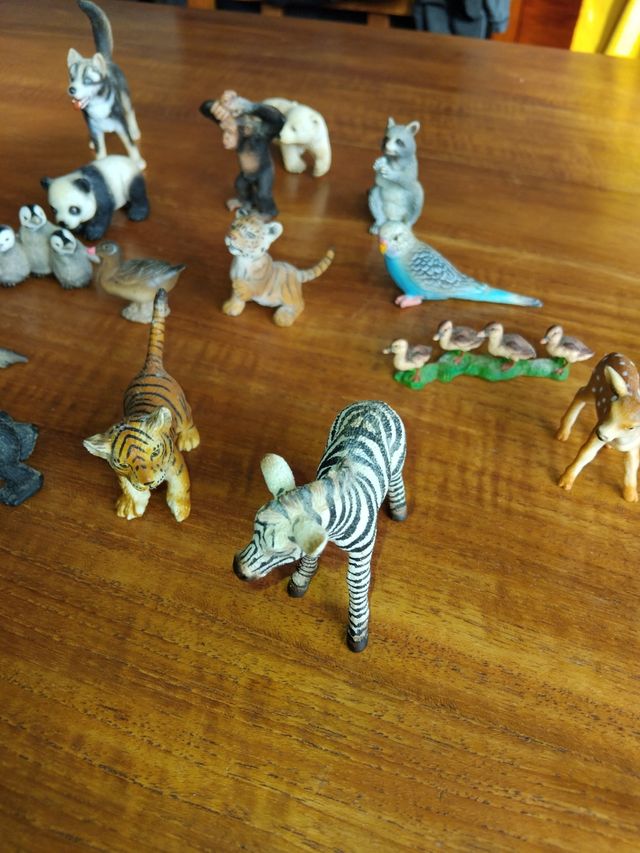 Jueguetes plástico Conjunto