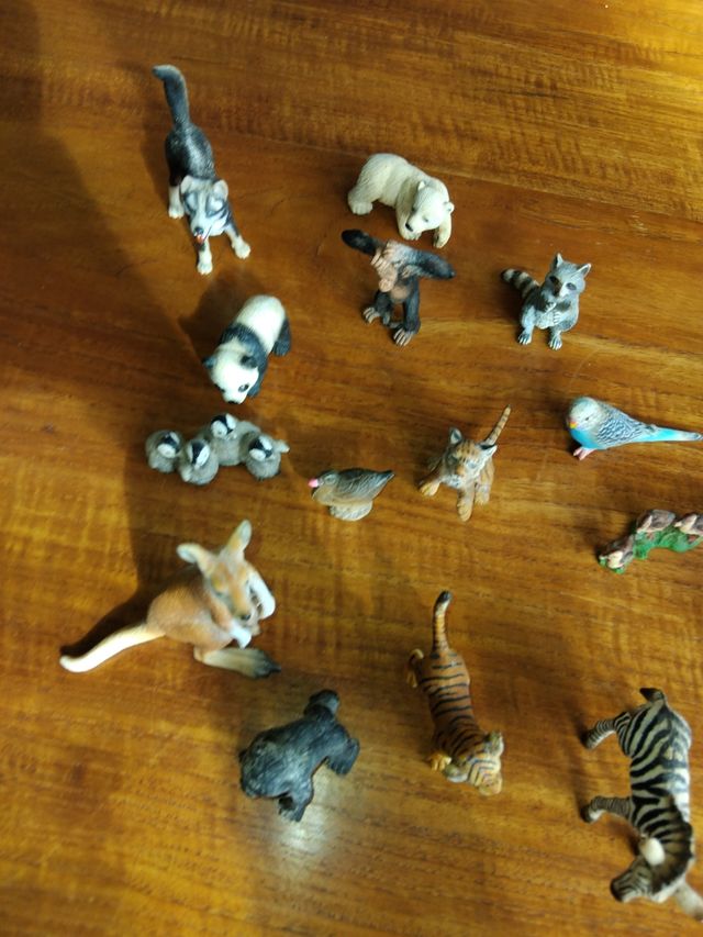 Jueguetes plástico Conjunto