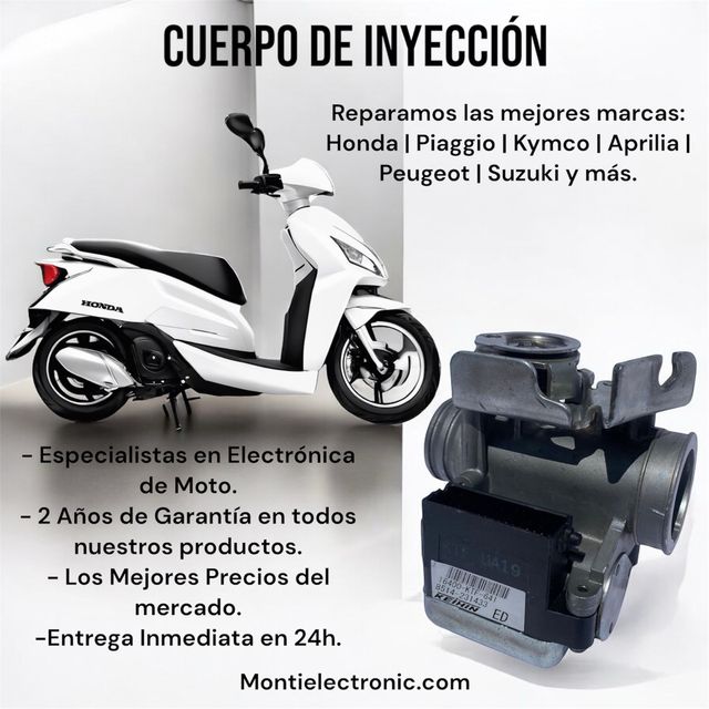 Cuerpos de inyeccion