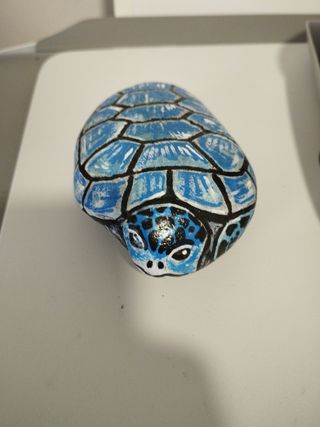 Tartaruga dipinta su sasso