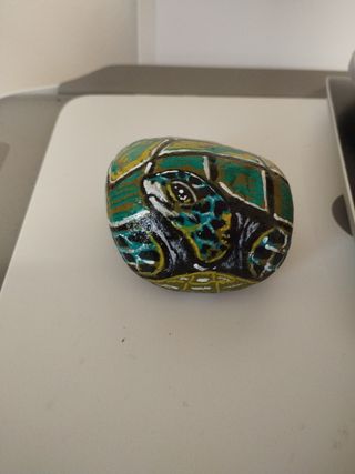 Tartaruga dipinta su sasso