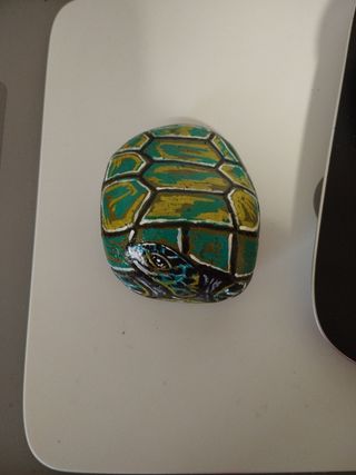 Tartaruga dipinta su sasso