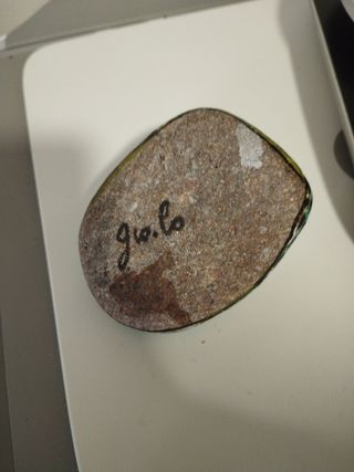 Tartaruga dipinta su sasso