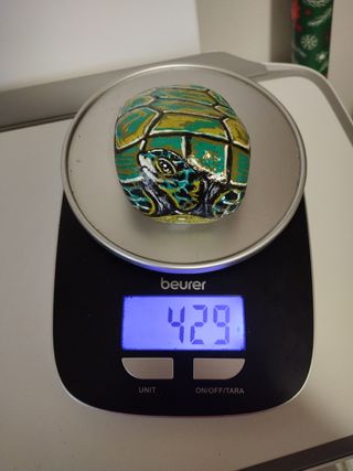 Tartaruga dipinta su sasso