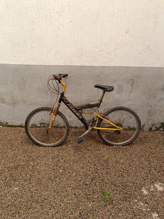 Bicicleta junior