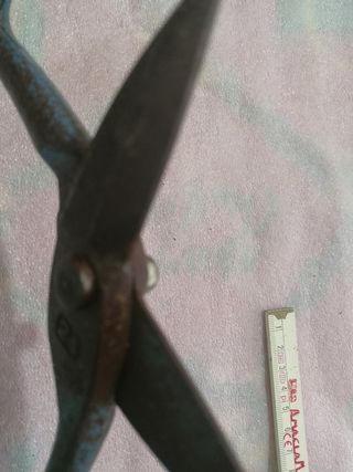 Forbice 24 antica