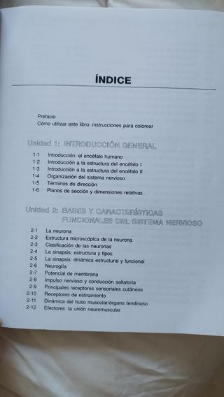 El cerebro humano. Libro de trabajo