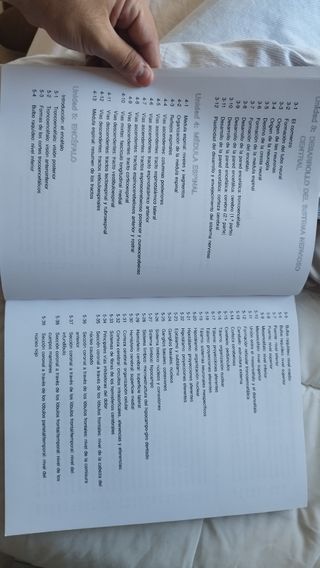 El cerebro humano. Libro de trabajo