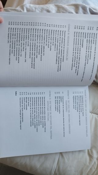 El cerebro humano. Libro de trabajo