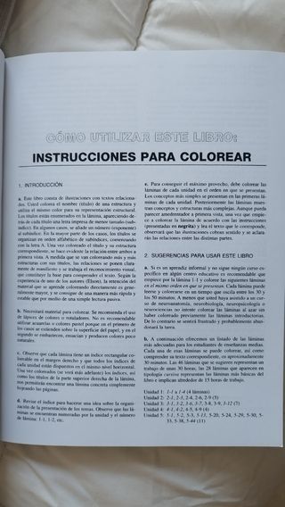 El cerebro humano. Libro de trabajo