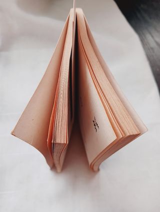 Livro Fantasmas da Rua do medo