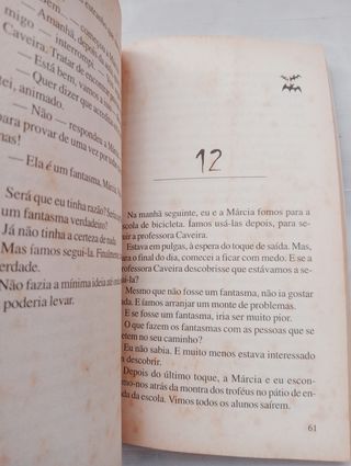 Livro Fantasmas da Rua do medo