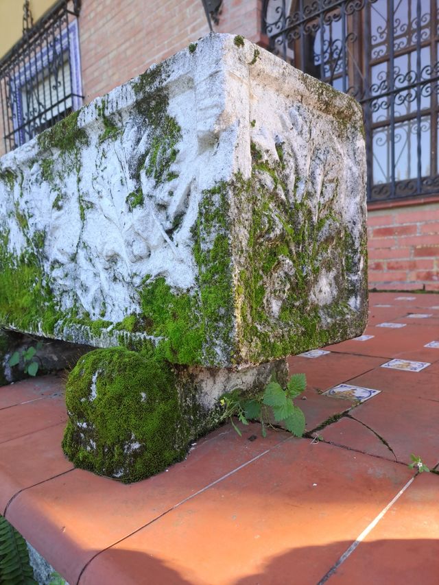 Maceta vintage hormigon tallada