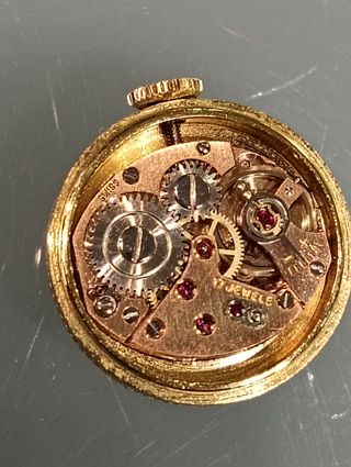 Grassy Único  y exclusivo. Reloj de    Libélula
