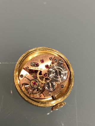 Grassy Único  y exclusivo. Reloj de    Libélula