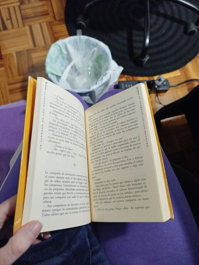 Laura Gallego, La llamada de los muertos