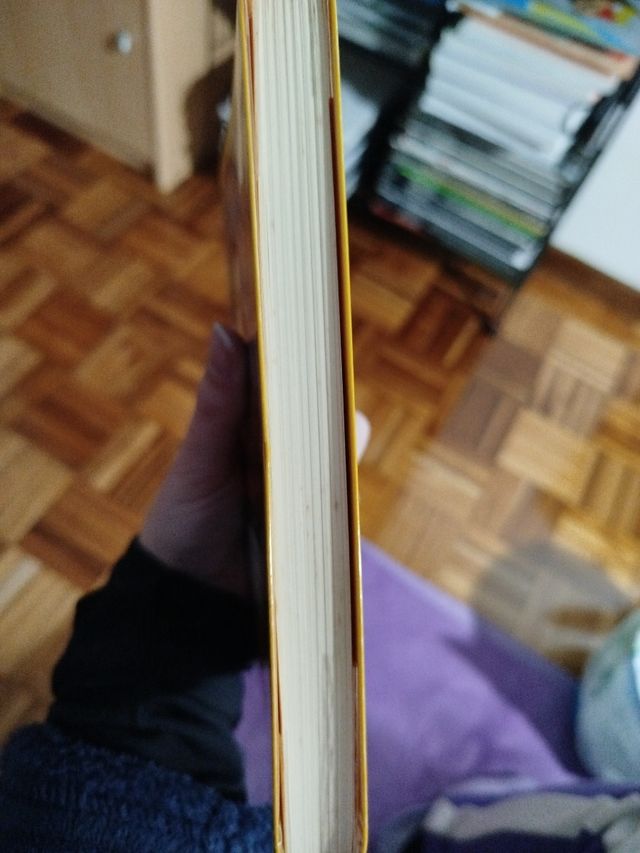 Laura Gallego, La llamada de los muertos