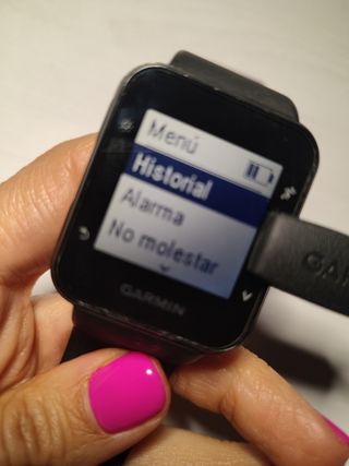 Reloj Garmin v3.20