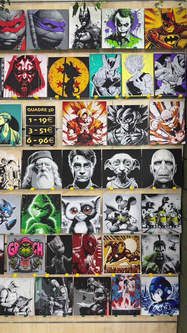 Cuadros Harry Potter