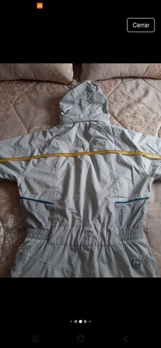 Mono ski 