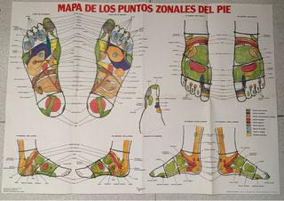Curso básico de reflexología del pie y de la mano