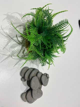 Planta y piedras de decoracion acuario