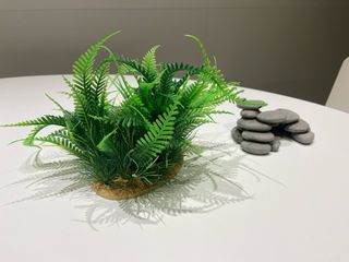 Planta y piedras de decoracion acuario