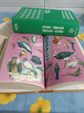 DICCIONARIOS ANTIGUOS