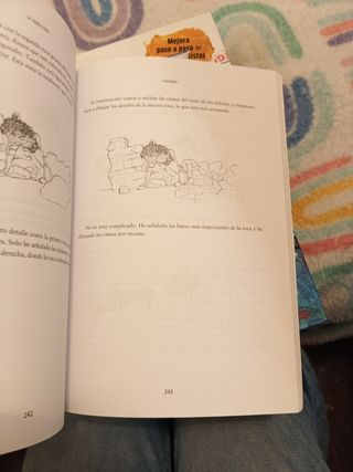 Cómo dibujar: Una guía de técnicas fáciles para aprender a dibujar (Spanish Edition)