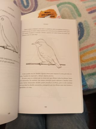 Cómo dibujar: Una guía de técnicas fáciles para aprender a dibujar (Spanish Edition)